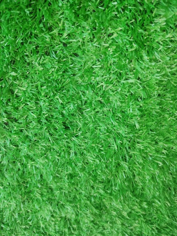 Carpet Grass