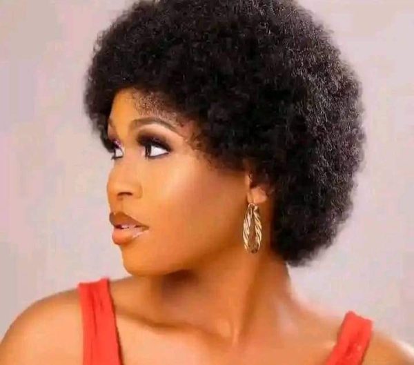 Afro Hair Wig (2024)